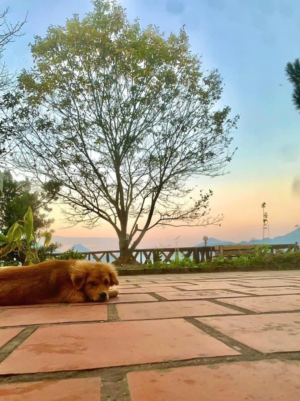 Pea Homestay Sa Pa Buitenkant foto