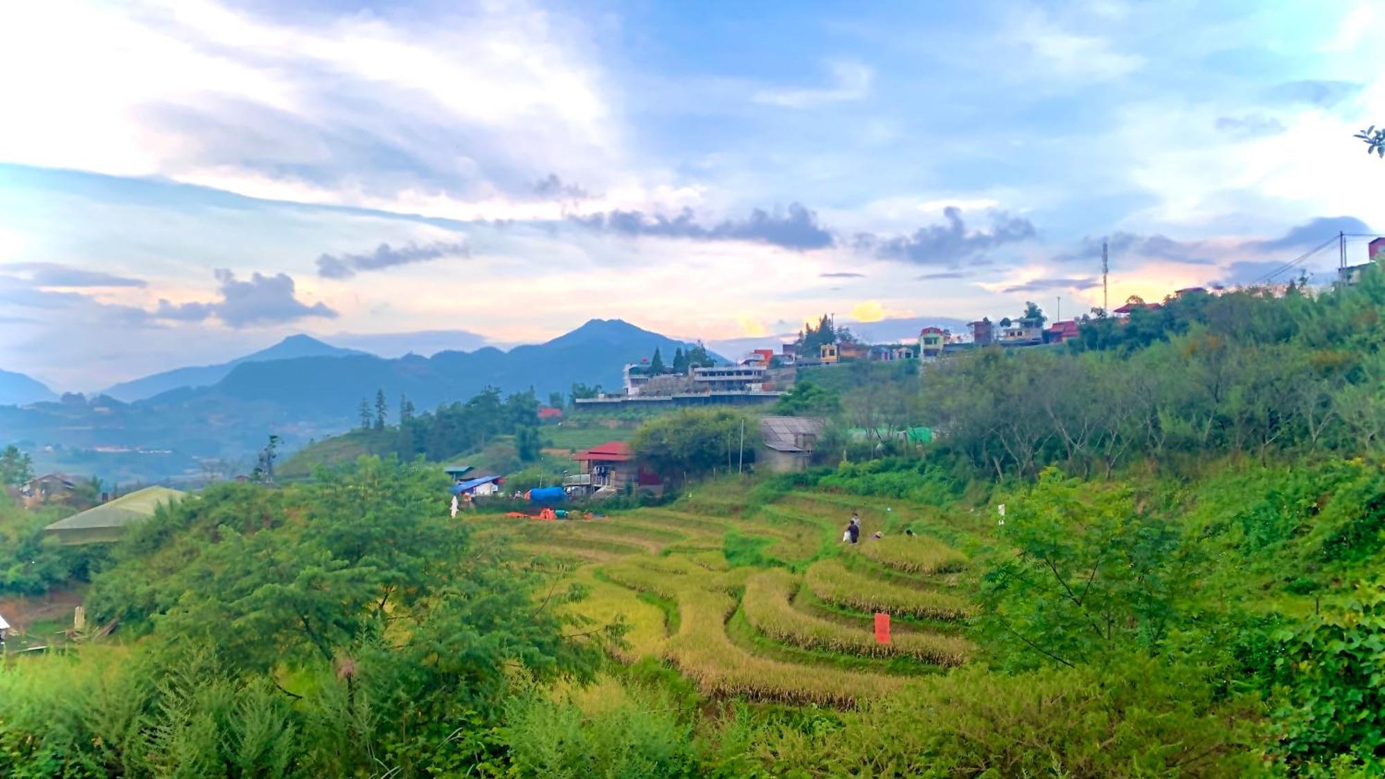 Pea Homestay Sa Pa Buitenkant foto
