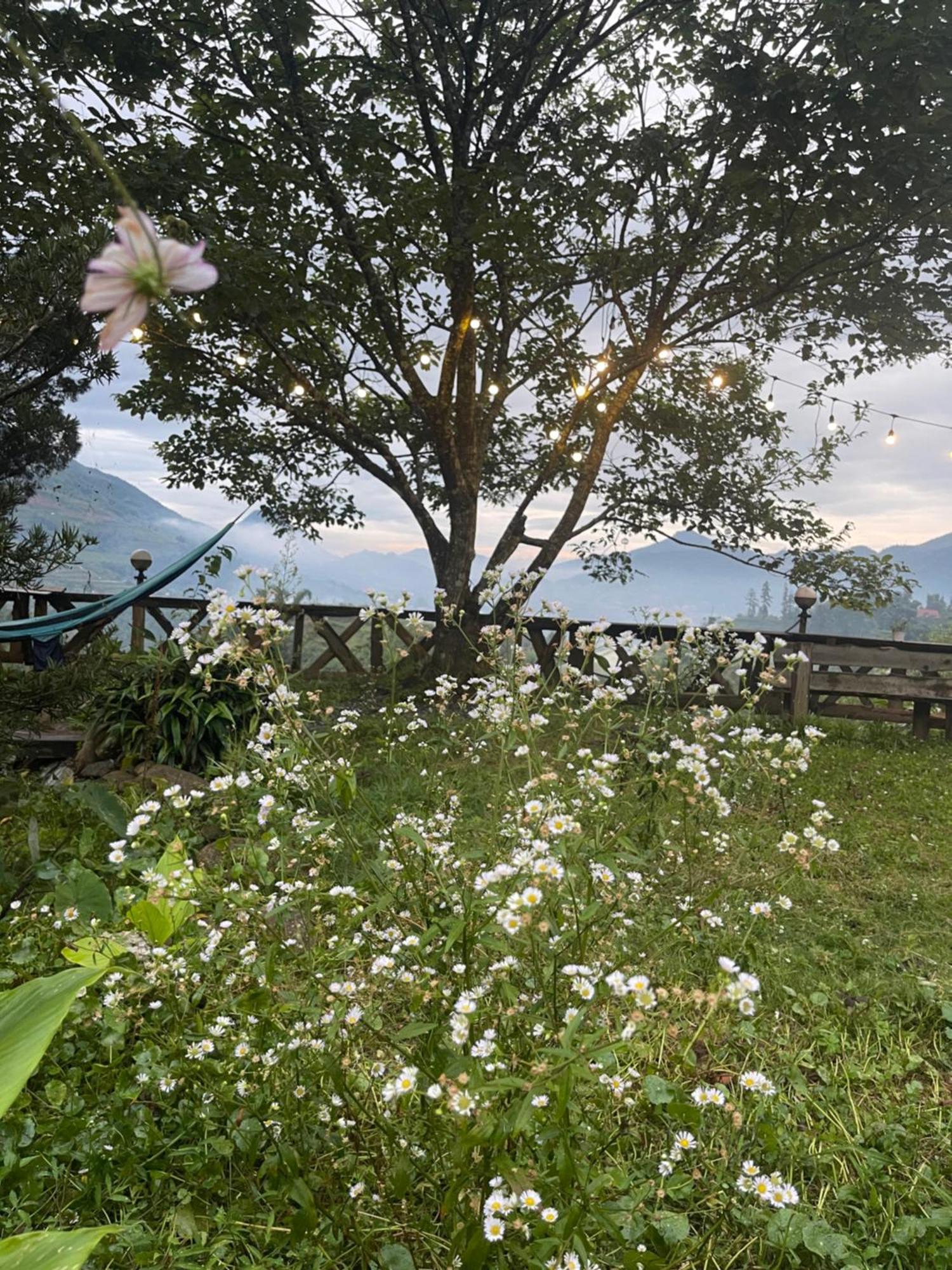 Pea Homestay Sa Pa Buitenkant foto